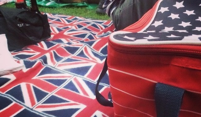 stars n stripes picnic set